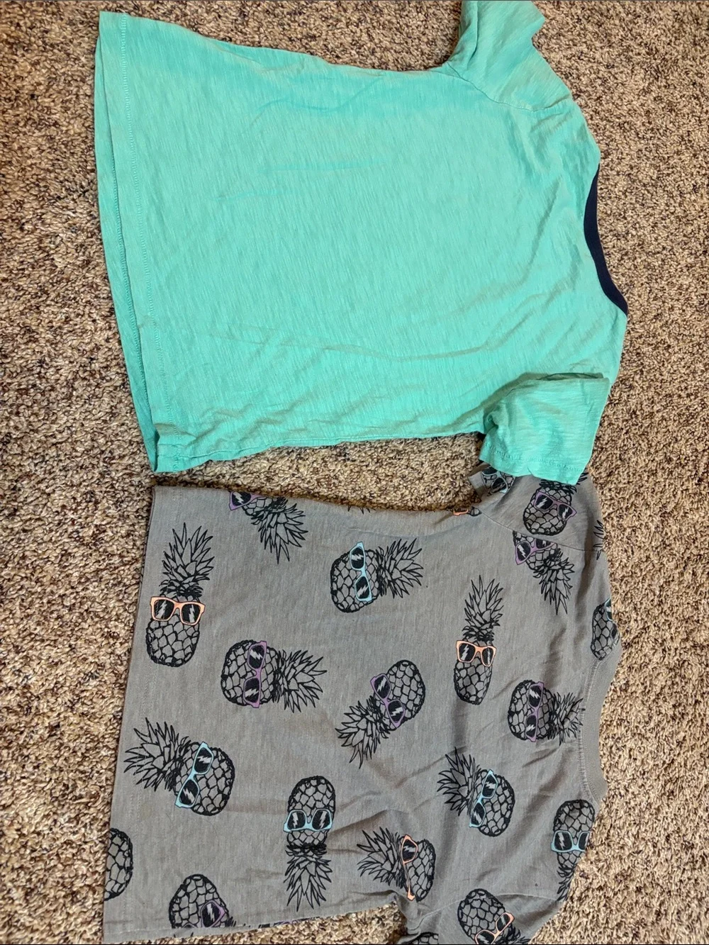 Lot of 2 kids Super Awesome Dude Short Sleeve Tee - Aqua and gray with pineapple